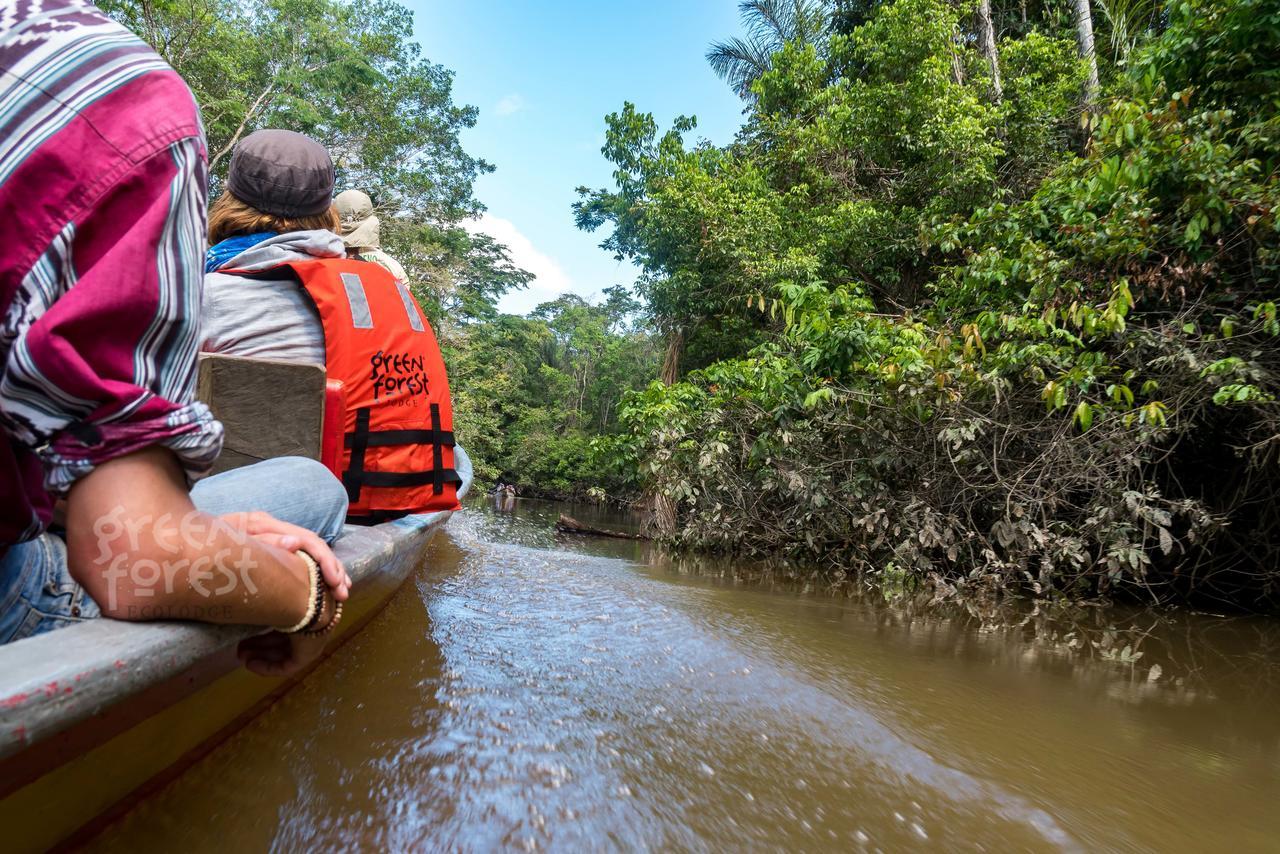 Green Forest Ecolodge Puerto Montufar Ngoại thất bức ảnh