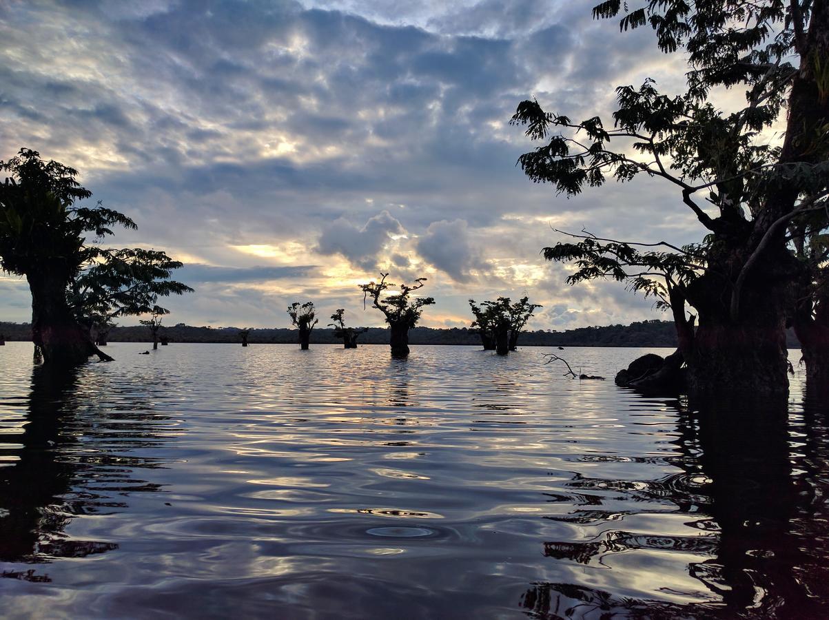 Green Forest Ecolodge Puerto Montufar Ngoại thất bức ảnh