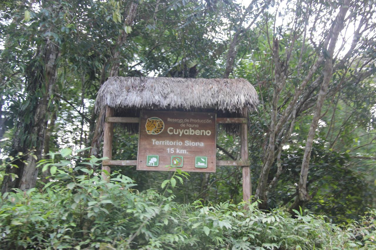 Green Forest Ecolodge Puerto Montufar Ngoại thất bức ảnh